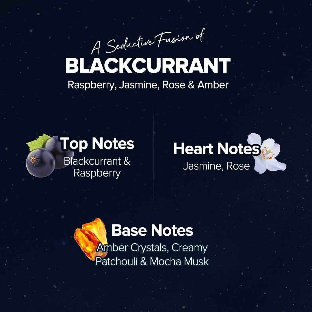 Midnight Bloom scent notes with blackcurrant and musk accents