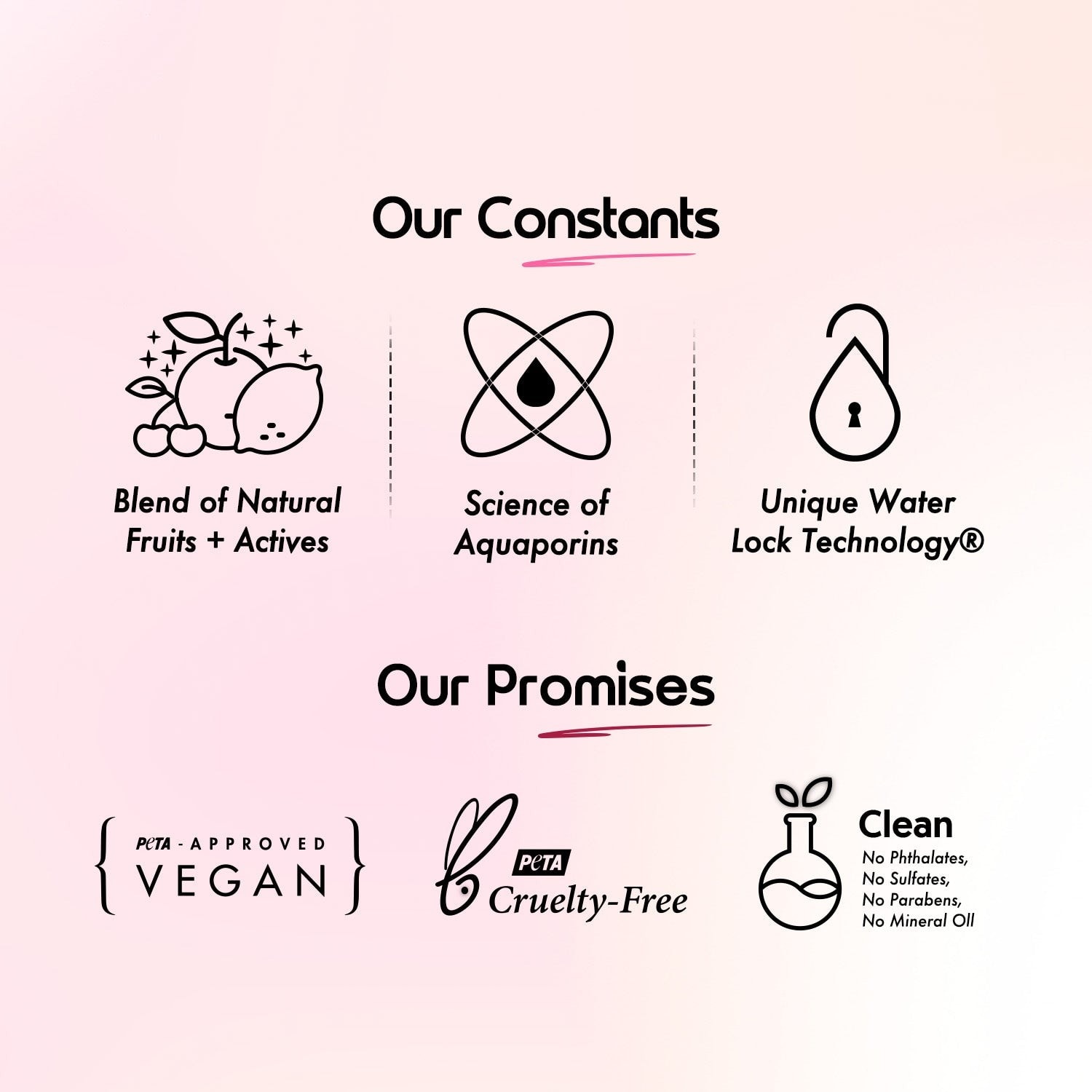 Product standards panel showing vegan and safe formulation 