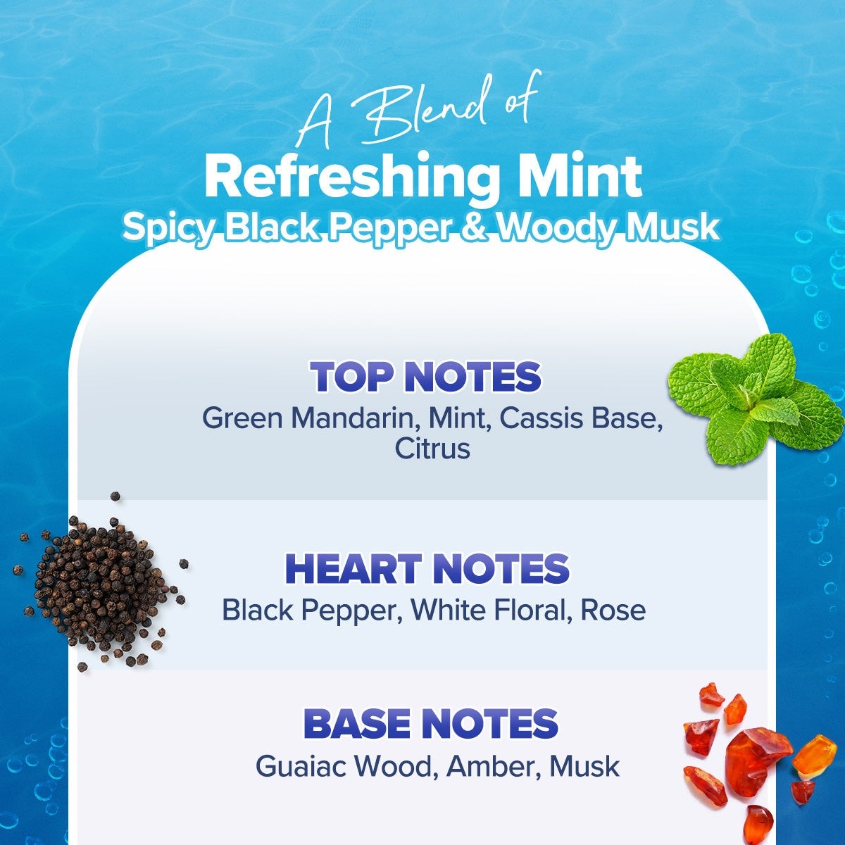 
Aqualogica Ocean Breeze fragrance with citrus and rose notes
